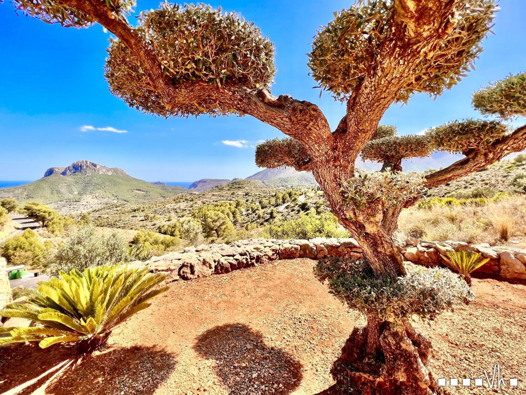 Vh Costablanca - Calima Villa Benissa Buitenkant foto